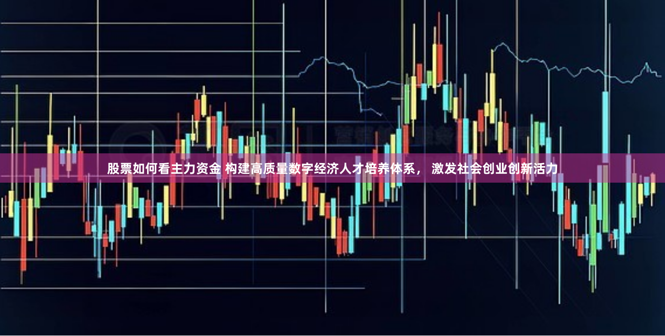 股票如何看主力资金 构建高质量数字经济人才培养体系， 激发社会创业创新活力